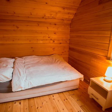 Brivdienu Maja Straumeni Holiday home Pale