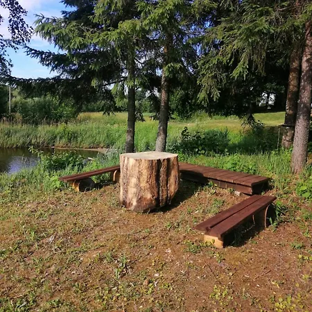 Brivdienu Maja Straumeni Holiday home Pale